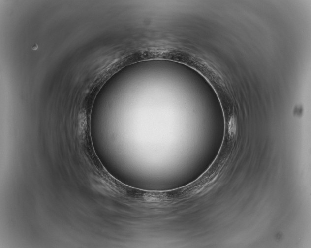 X0000099501299200805291119