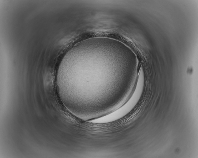X0000099501300200805291119