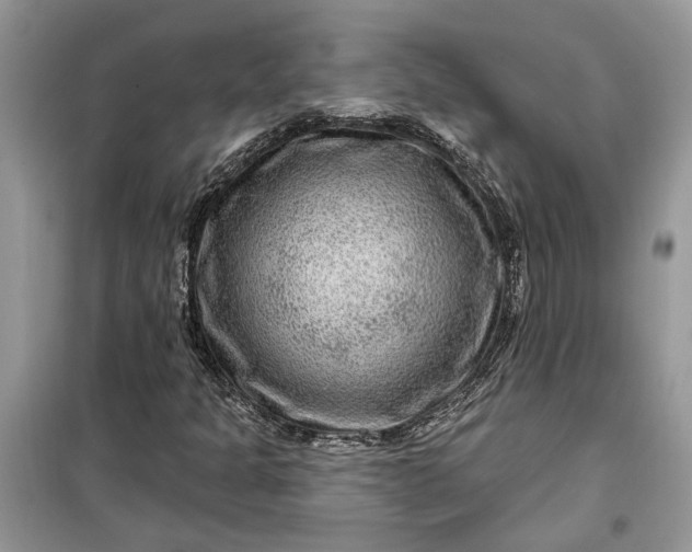 X0000099501301200805291119