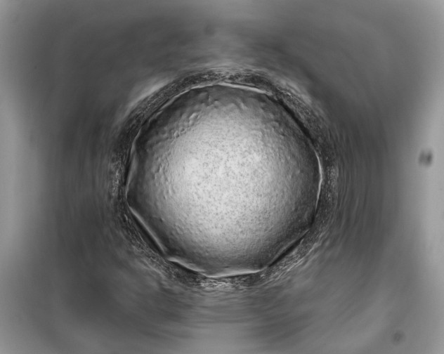 X0000099501302200805291119