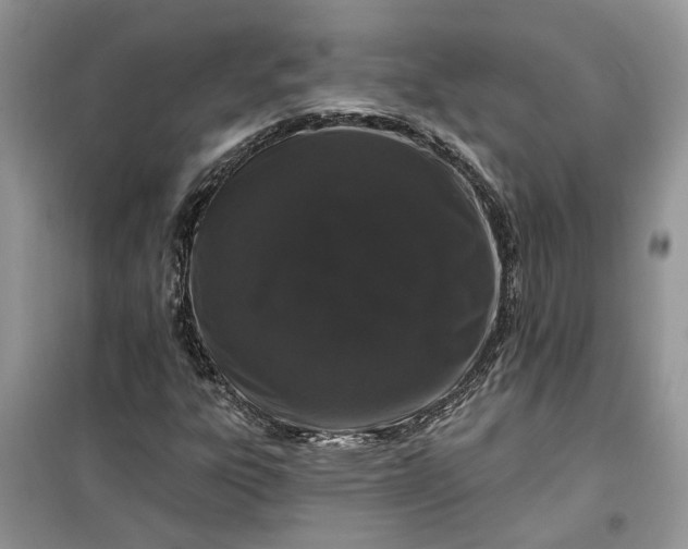 X0000099501303200805291119