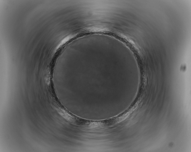 X0000099501306200805291119