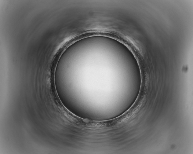 X0000099501307200805291119