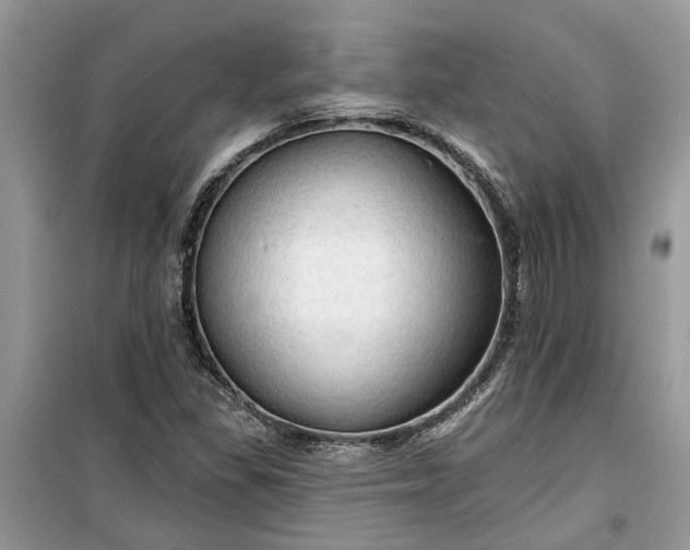 X0000099501309200805291119