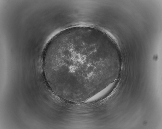 X0000099501310200805291119