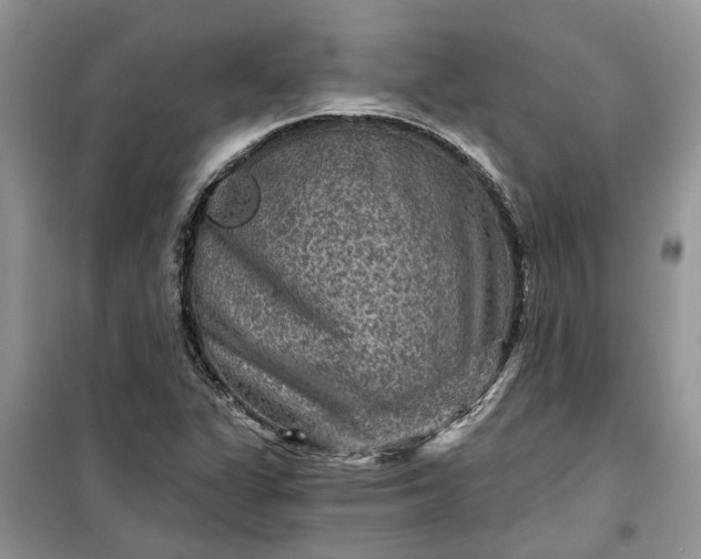 X0000099501311200805291119