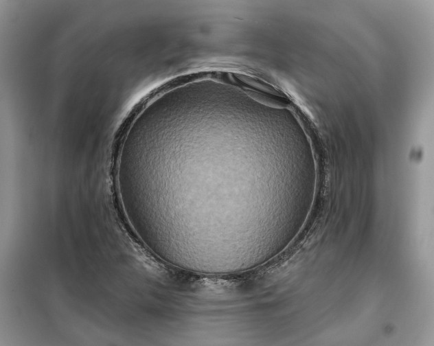X0000099501312200805291119