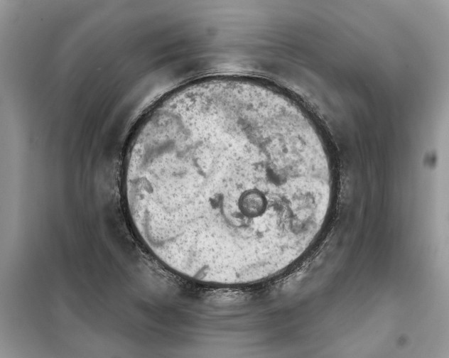 X0000099501314200805291119