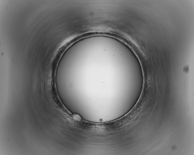 X0000099501315200805291119