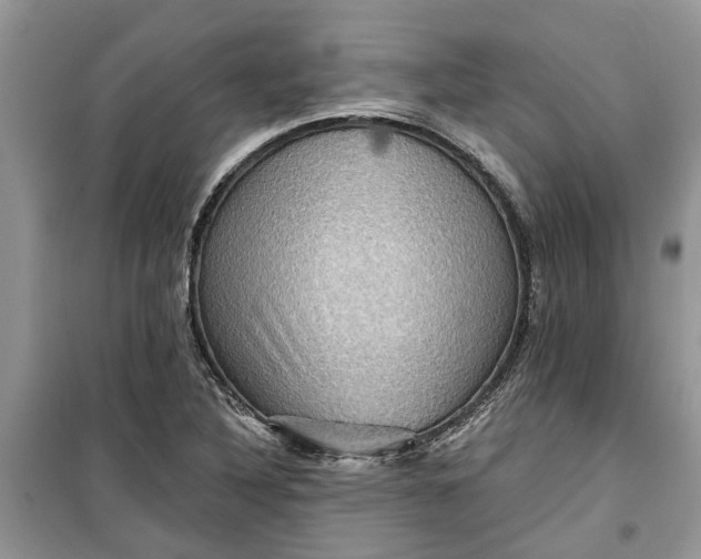 X0000099501316200805291119