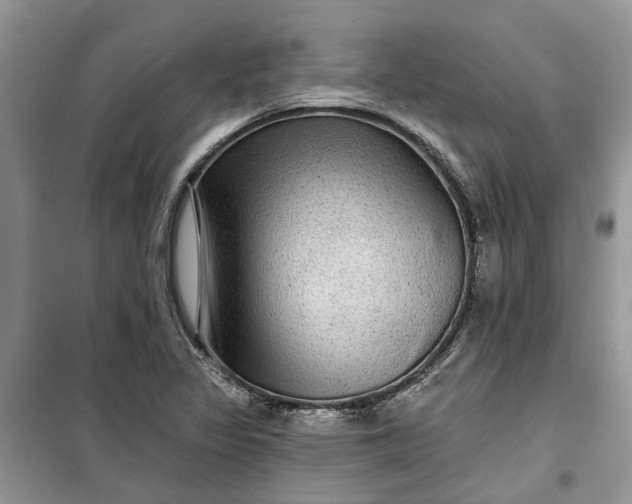 X0000099501317200805291119