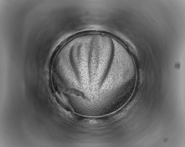 X0000099501318200805291119