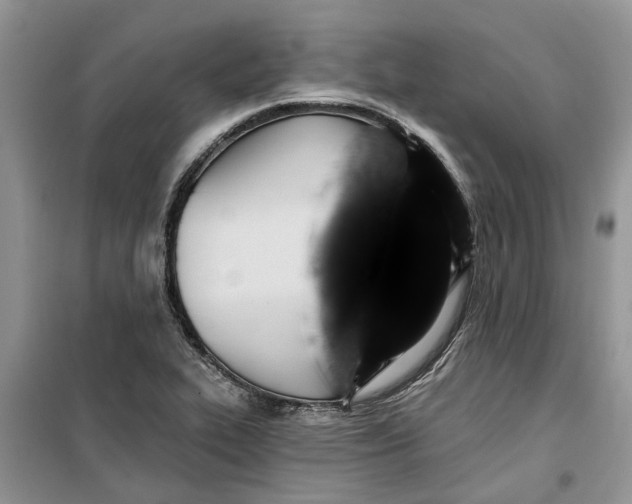 X0000099501319200805291119