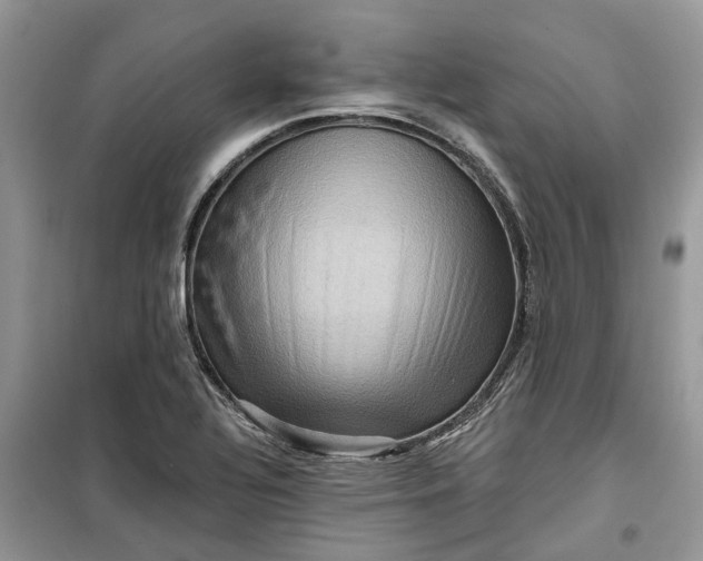 X0000099501320200805291119
