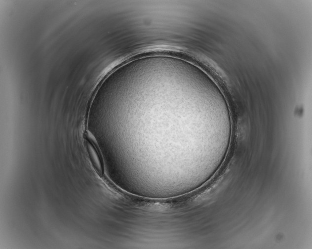 X0000099501321200805291119