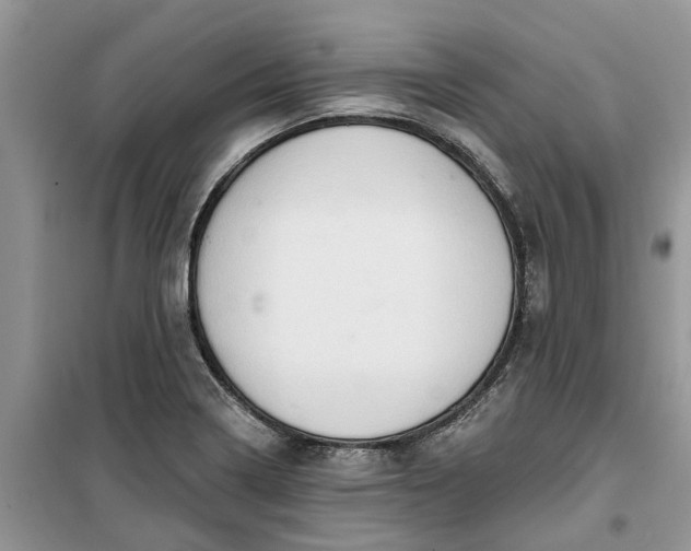 X0000099501322200805291119