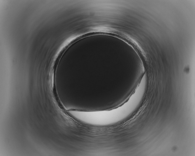 X0000099501323200805291119