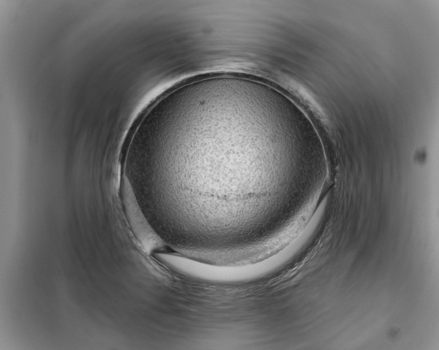 X0000099501324200805291119