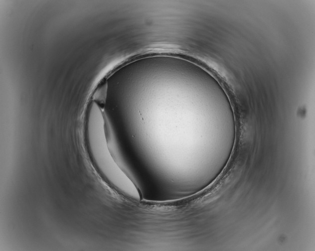 X0000099501325200805291119