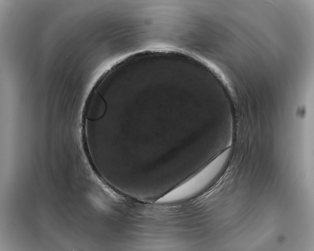 X0000099501327200805291119