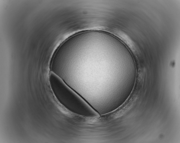X0000099501332200805291120