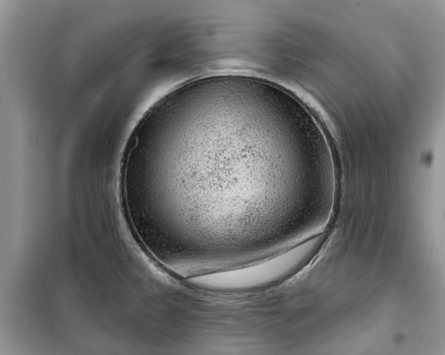 X0000099501333200805291120