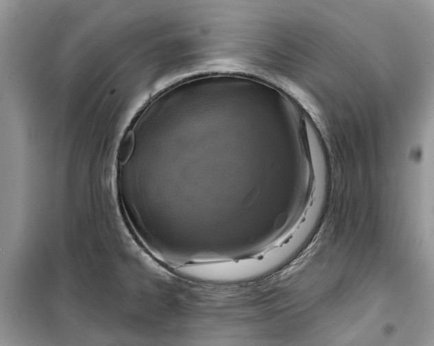X0000099501334200805291120