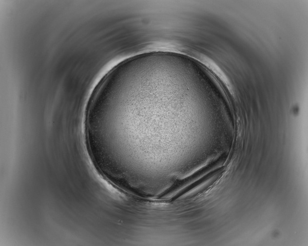 X0000099501339200805291120
