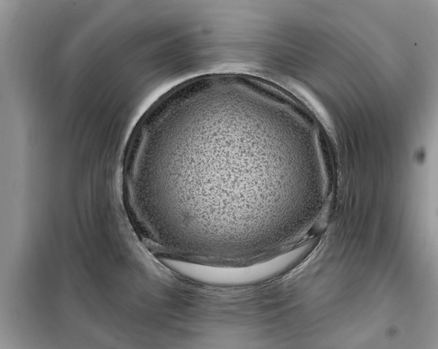 X0000099501340200805291120