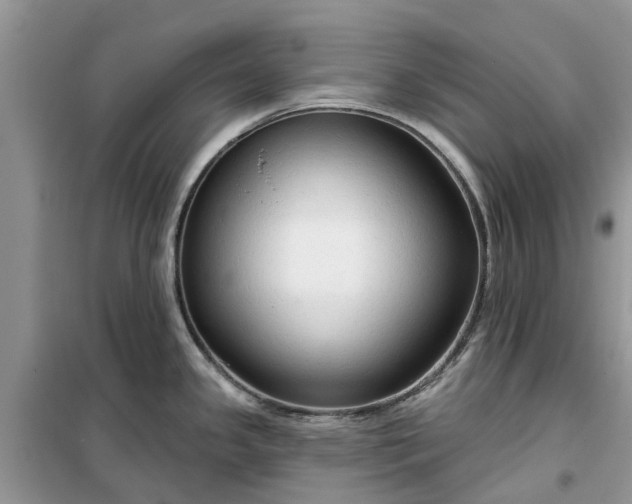 X0000099501341200805291120
