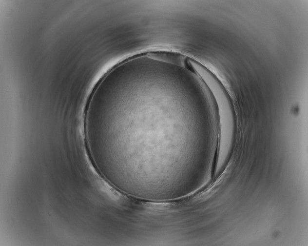 X0000099501342200805291120