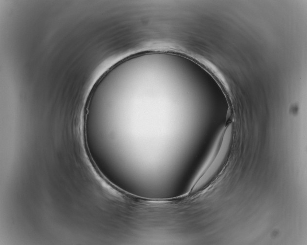 X0000099501343200805291120