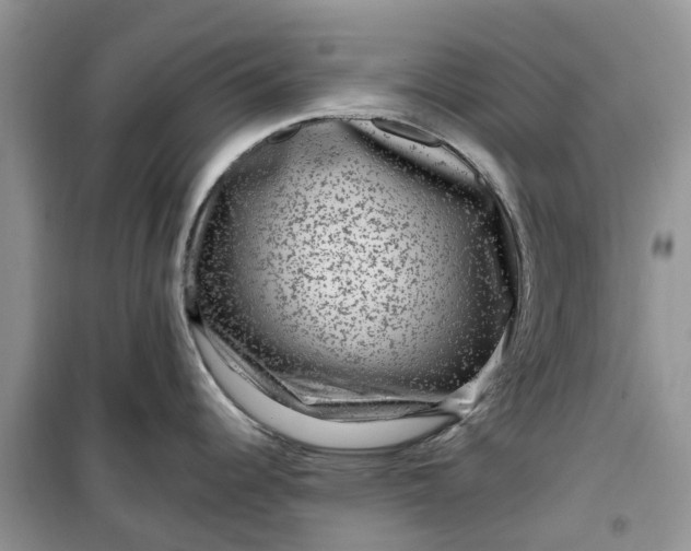 X0000099501344200805291120