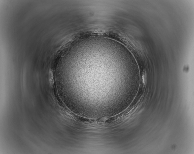 X0000099501347200805291119