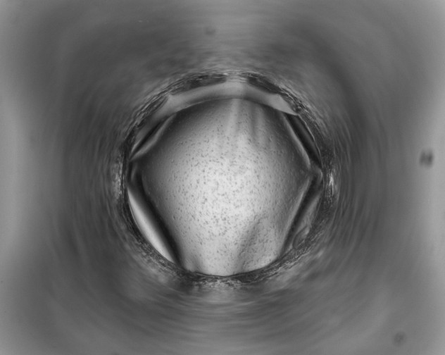 X0000099501348200805291119