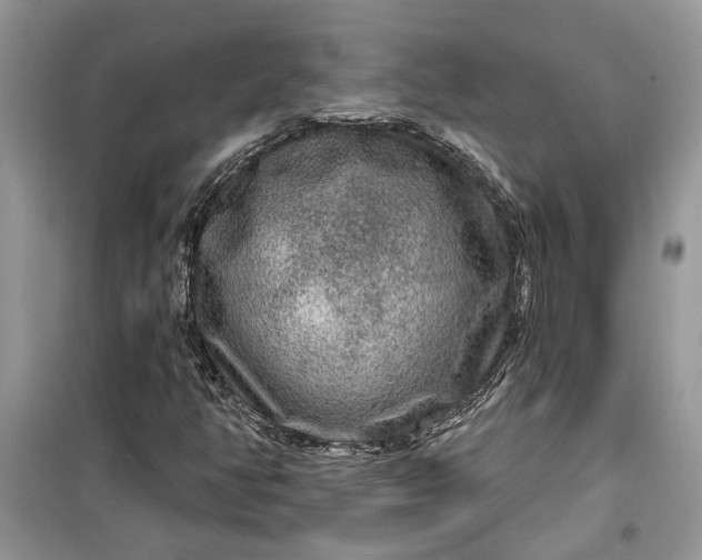 X0000099501350200805291119