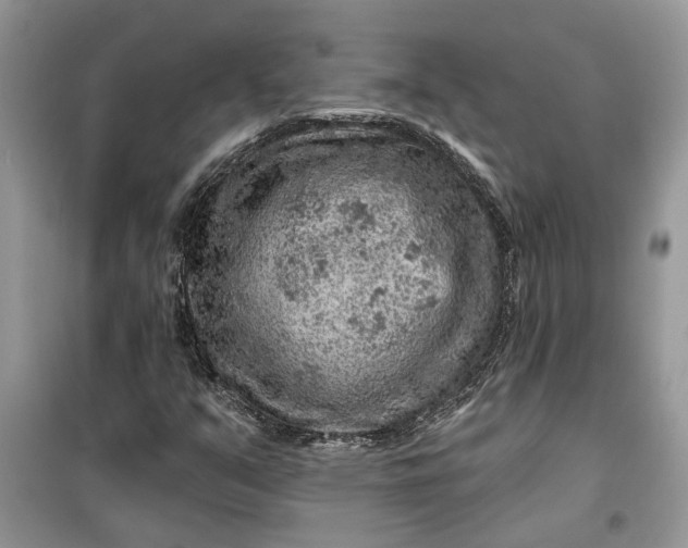 X0000099501351200805291119