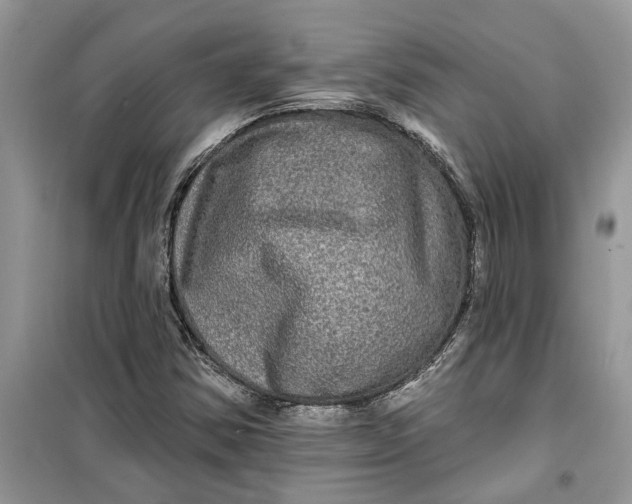 X0000099501354200805291119