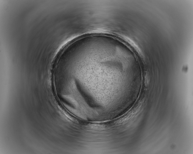 X0000099501356200805291119