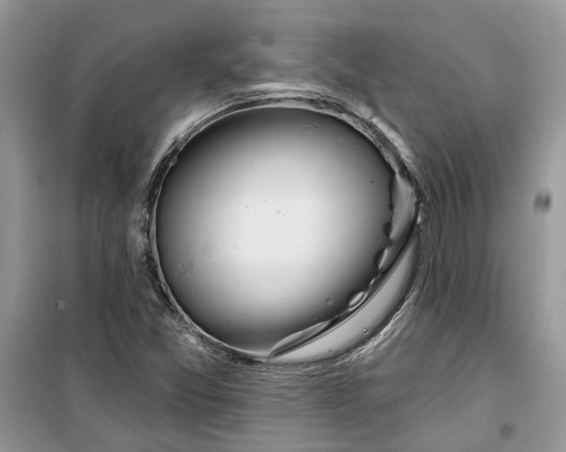 X0000099501357200805291119