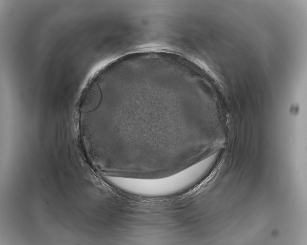 X0000099501358200805291119