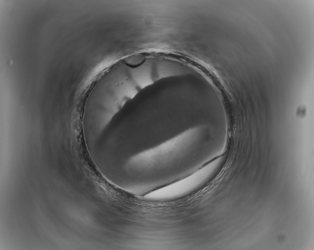 X0000099501359200805291119