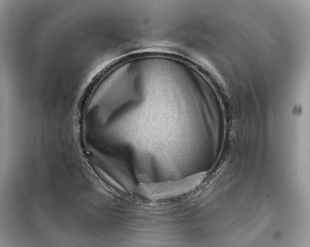 X0000099501360200805291119