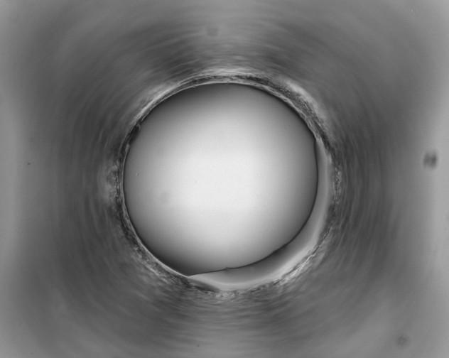 X0000099501361200805291119