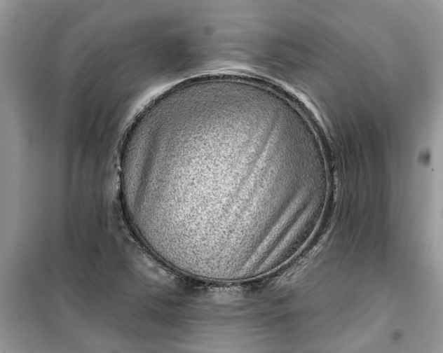 X0000099501363200805291119