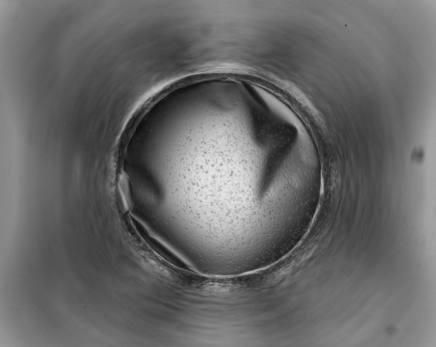 X0000099501364200805291119