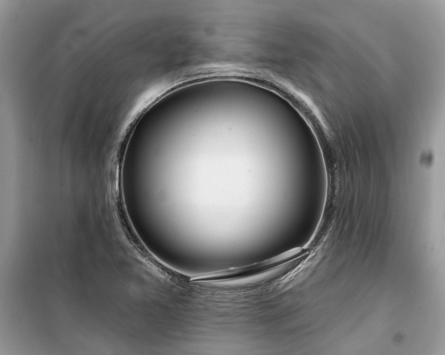 X0000099501365200805291119