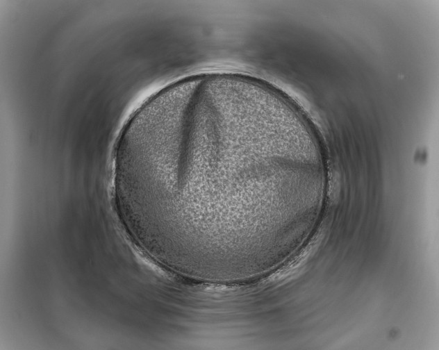 X0000099501366200805291119