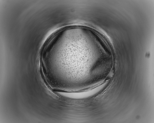 X0000099501368200805291119