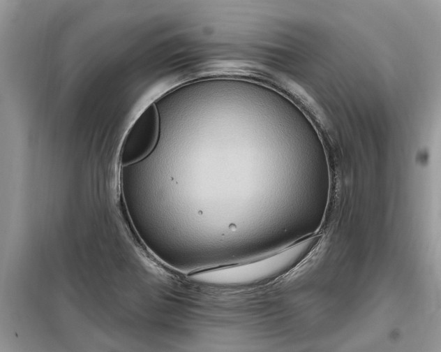 X0000099501370200805291119